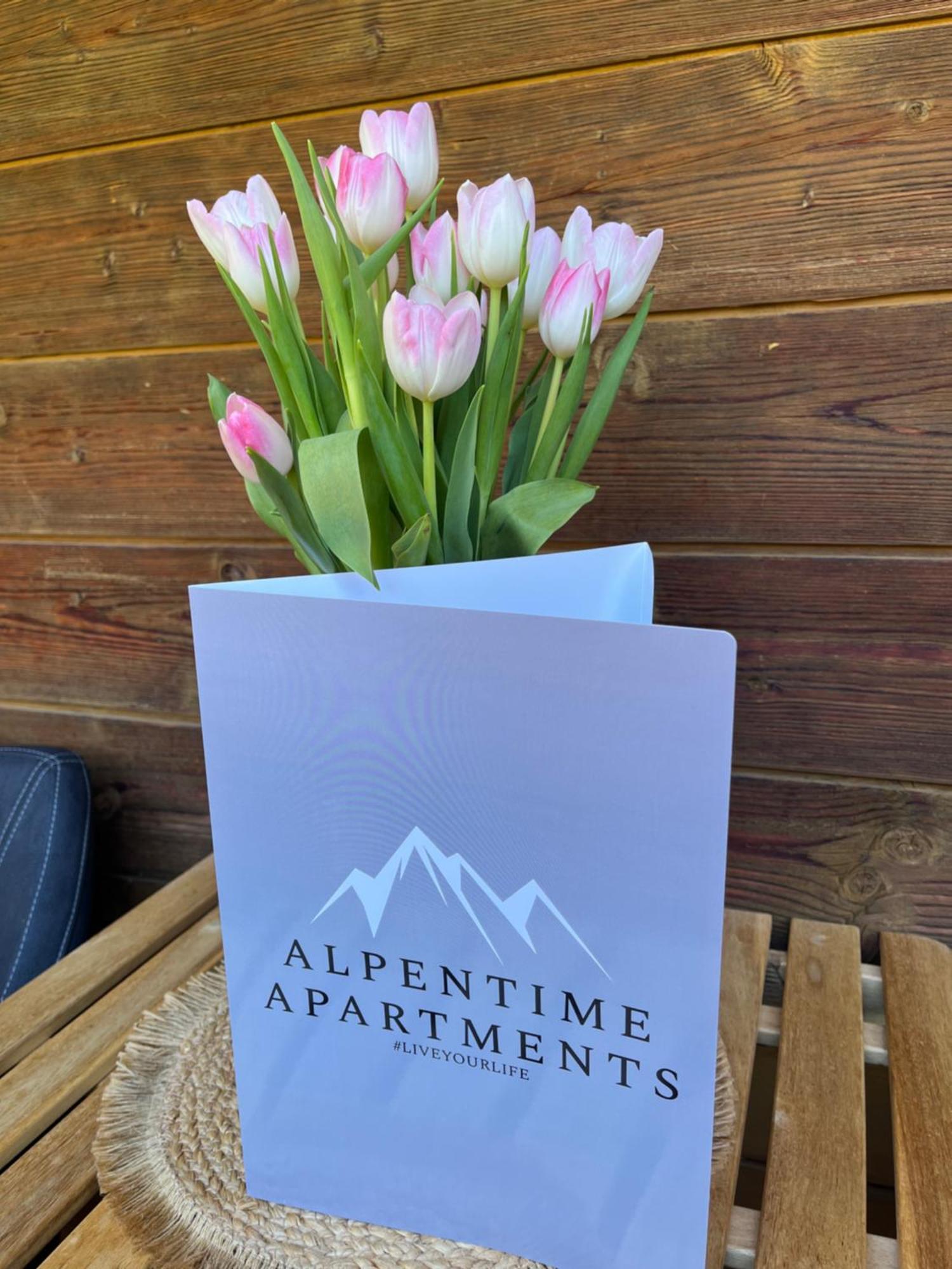 Alpentime Apartments Neustift im Stubaital Extérieur photo